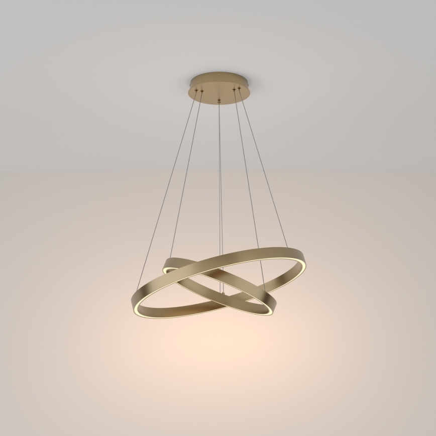 Maytoni MOD058PL-L55BS3K - LED pendel RIM LED/61W/230V 3000K diameter 60 cm guldfarvet