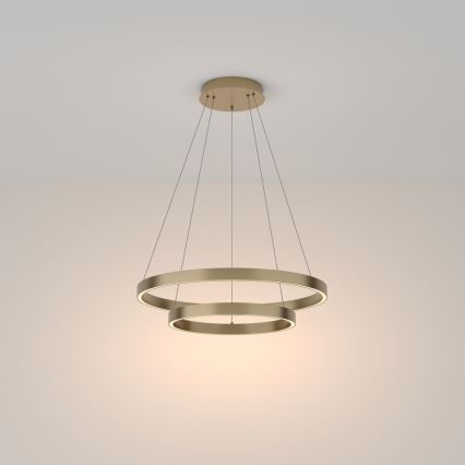 Maytoni MOD058PL-L55BS3K - LED pendel RIM LED/61W/230V 3000K diameter 60 cm guldfarvet