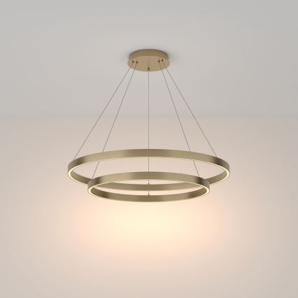 Maytoni MOD058PL-L74BS3K - LED pendel RIM LED/88W/230V 3000K diameter 80 cm guldfarvet