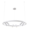 Maytoni MOD102PL-L42W - LED-pendel på kabel SATELLITE LED/42W/230V hvid