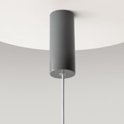 Maytoni MOD189PL-L12GR3K1 - GERHARD LED-pendel med wireophæng, LED/19W/230V, grå
