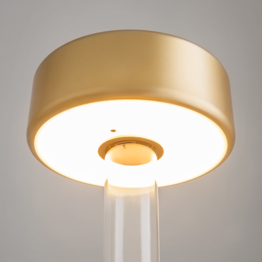 Maytoni MOD229TL-L3G3K1 - LED bordlampe dæmpbar og genopladelig LED/3W/5V 2200-4000K guldfarvet/transparent