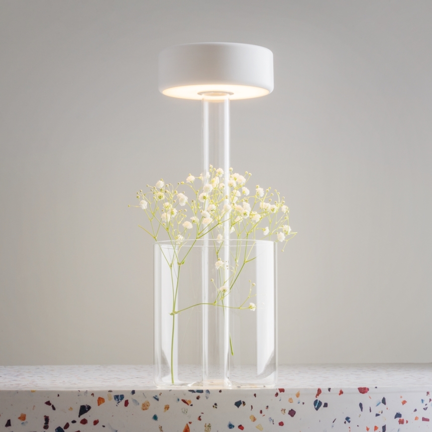 Maytoni MOD229TL-L3W3K1 - LED dæmpbar genopladelig bærbar bordlampe LED/3W/5V 2200-4000K 2000 mAh hvid/klar