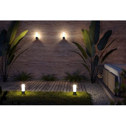 Maytoni O418WL-01B - Udendørs væglampe WILLIS 1xE27/60W/230V IP54 sort