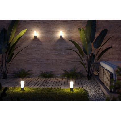 Maytoni O418WL-01GR - Udendørs væglampe WILLIS 1xE27/60W/230V IP54 antracit