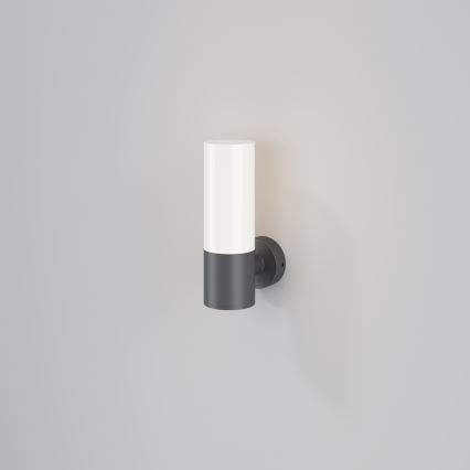 Maytoni O418WL-01GR - Udendørs væglampe WILLIS 1xE27/60W/230V IP54 antracit