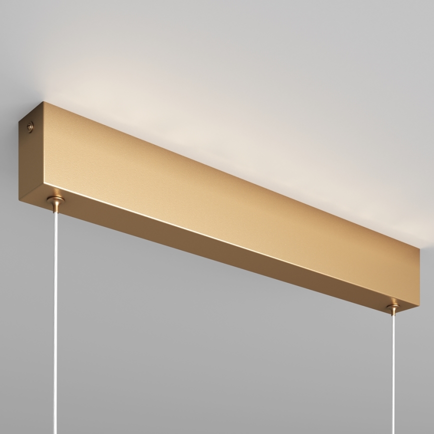 Maytoni P010PL-L23G3K - LED pendel STEP LED/23W/230V 3000K 91 cm guldfarvet