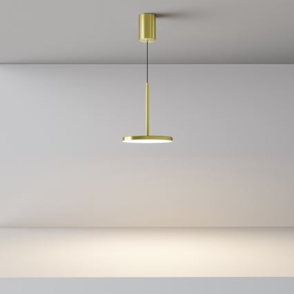 Maytoni P076PL-L12W3K-BS - LED pendel PLATO LED/12W/230V 3000K guldfarvet