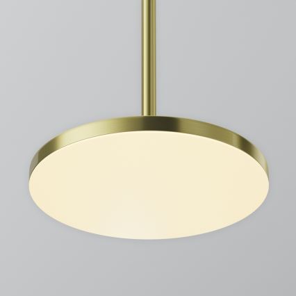 Maytoni P076PL-L12W3K-BS - LED pendel PLATO LED/12W/230V 3000K guldfarvet