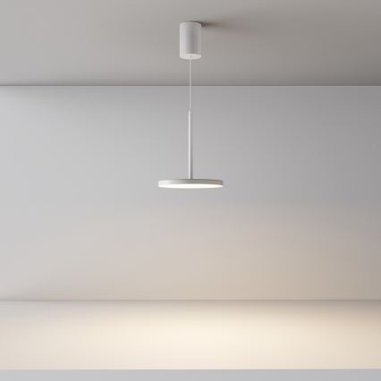 Maytoni P076PL-L12W3K-W - LED pendel PLATO LED/12W/230V 3000K hvid