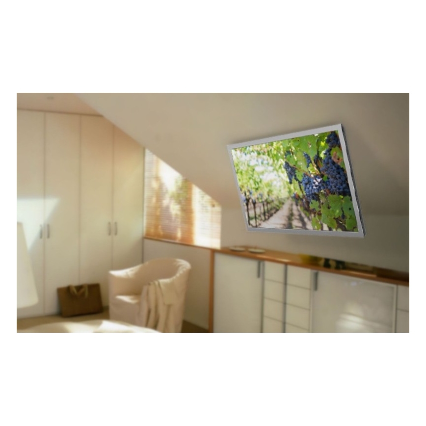 MK FLORIA MKF-20DM444 - Smart loft holder til TV 55" sort Wi-Fi TUYA + fjernbetjening