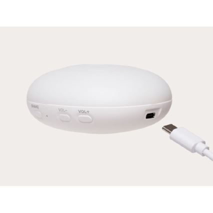 Moonie - Puttebamse med melodi og lys, sæl, organic sand