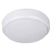 Müller-Licht - LED Udendørs loftlampe PICTOR LED/8W/230V IP54