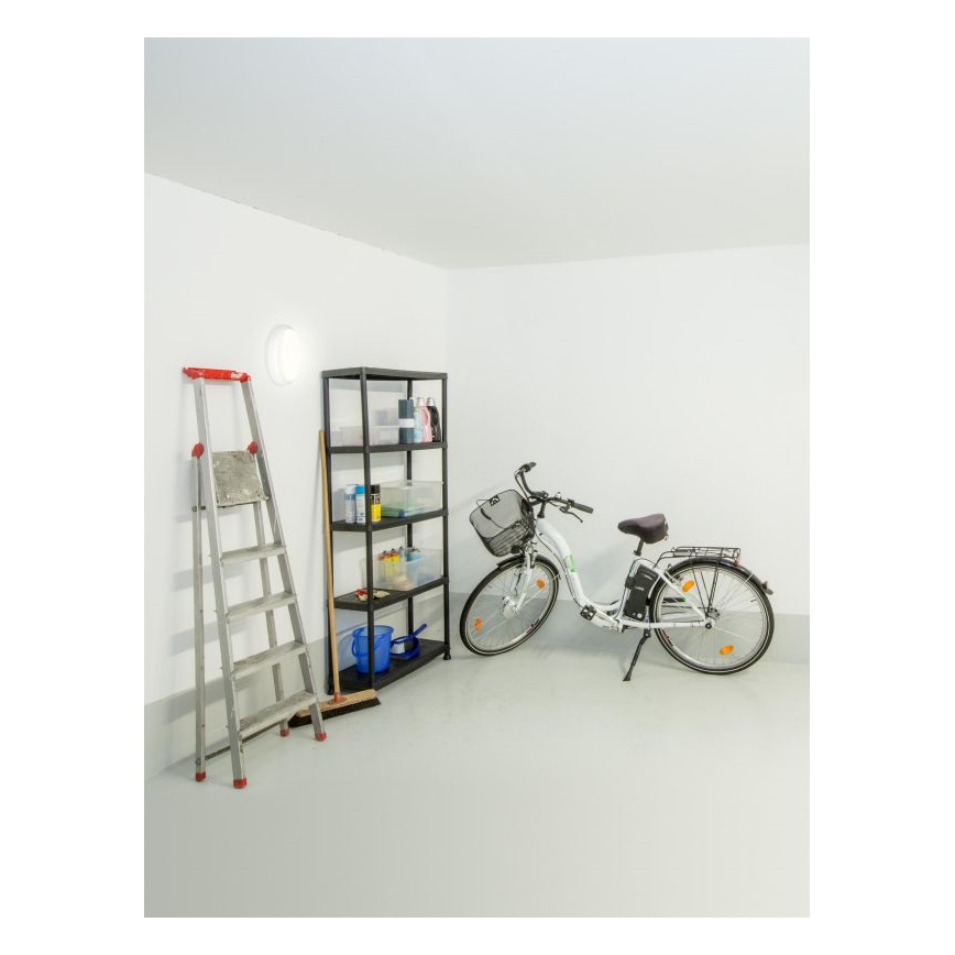 Müller-Licht - LED Udendørs loftlampe PICTOR LED/8W/230V IP54