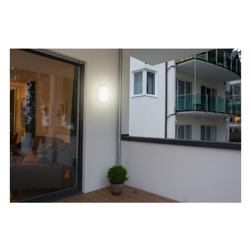 Müller-Licht - LED Udendørs loftlampe PICTOR LED/8W/230V IP54