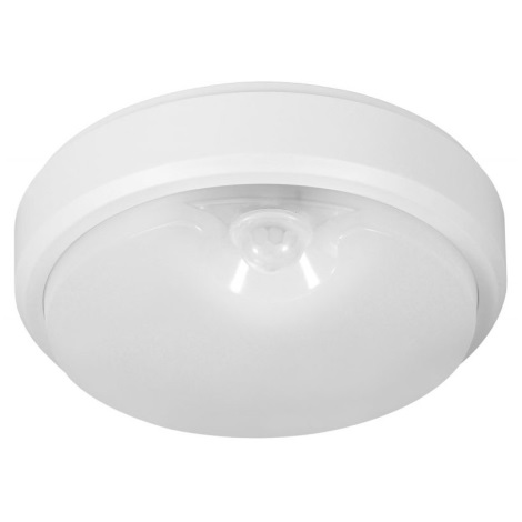Müller-Licht - Udendørs LED loftlampe med sensor PICTOR LED/8W/230V IP54