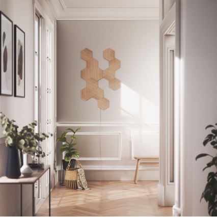 Nanoleaf - SÆT 13x LED panel dæmpbart HEXAGONS LED/2W/230V Wi-Fi