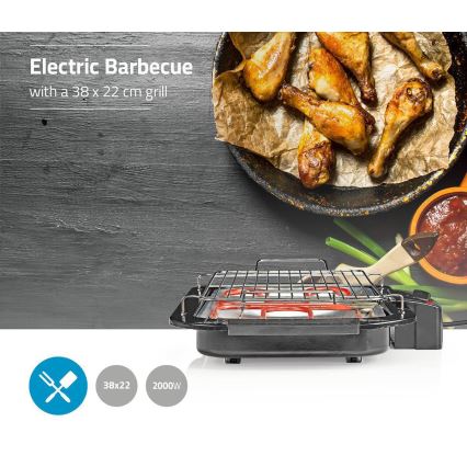 Elektrisk grill 2000W/230V