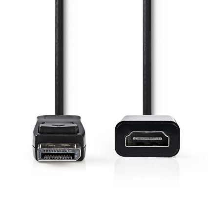 HDMI kabel DisplayPort Stik - HDMI udgang 0.2 m