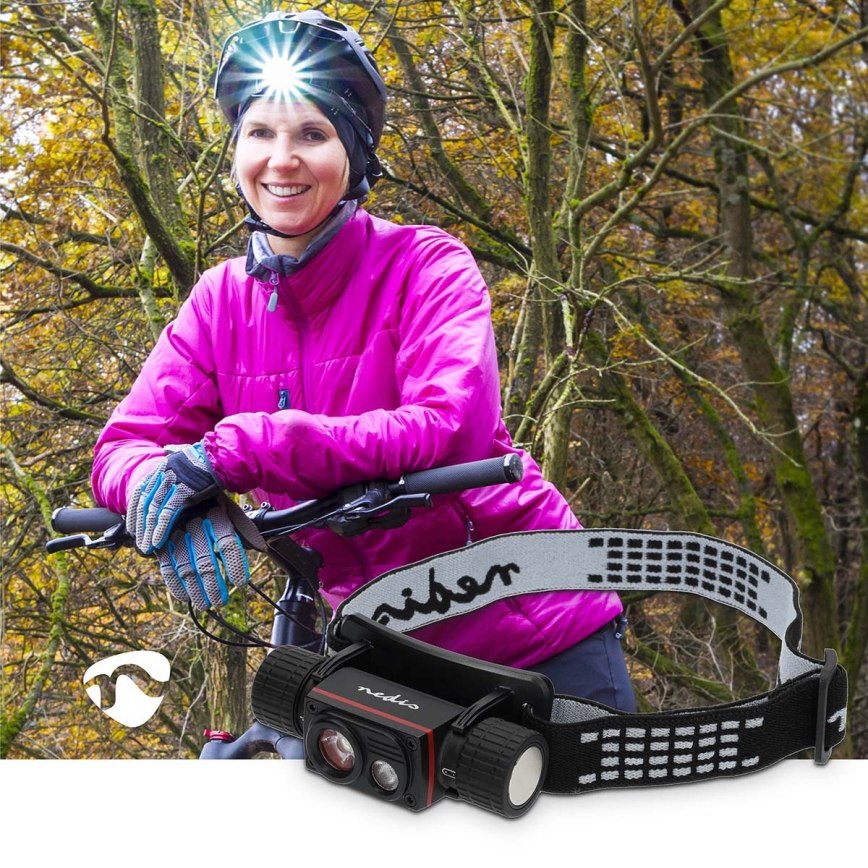 LED Dæmpbar genopladelig aluminiumpandelampe LED/10W/5V 2200 mAh IPX8 sort