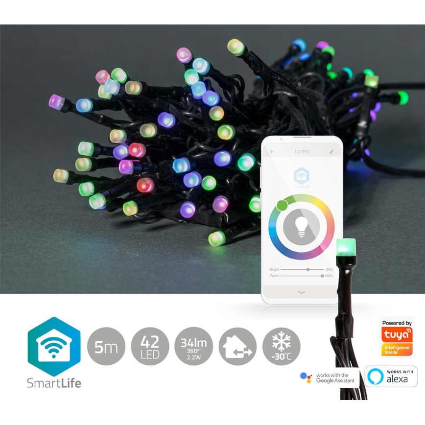 LED RGB udendørs julelyskæde 42xLED/8 funktioner 8m IP65 Wi-Fi Tuya