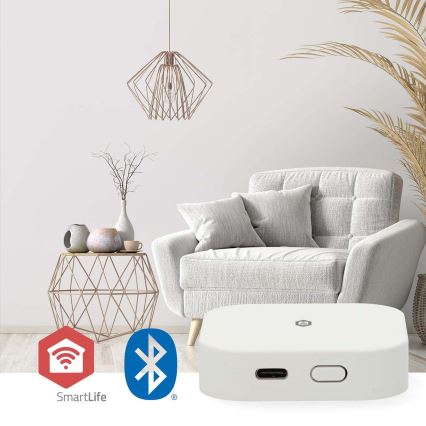 SmartLife Smart Gateway 5 V Wi-Fi