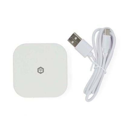 SmartLife Smart Gateway 5 V Wi-Fi