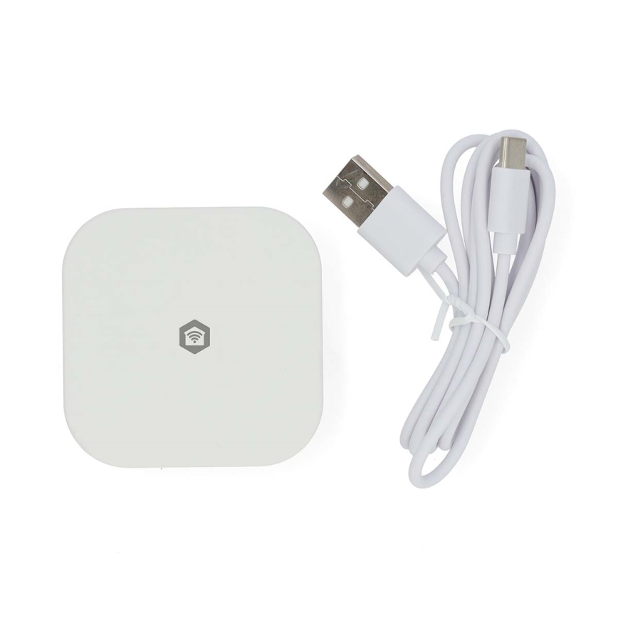 SmartLife Smart Gateway 5 V Wi-Fi