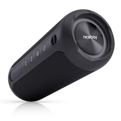 Niceboy Polaris - Trådløs LED højtaler med mikrofon 30W/4000mAh IPX7 sort