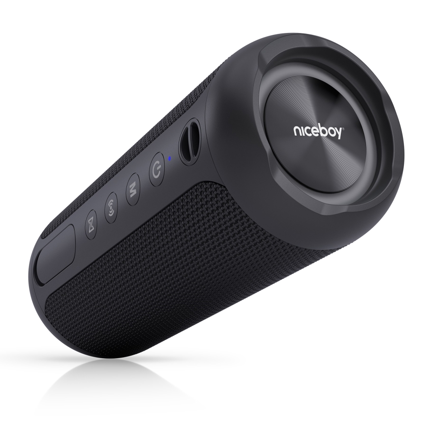 Niceboy Polaris - Trådløs LED højtaler med mikrofon 30W/4000mAh IPX7 sort