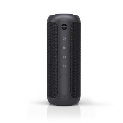 Niceboy Polaris - Trådløs LED højtaler med mikrofon 30W/4000mAh IPX7 sort