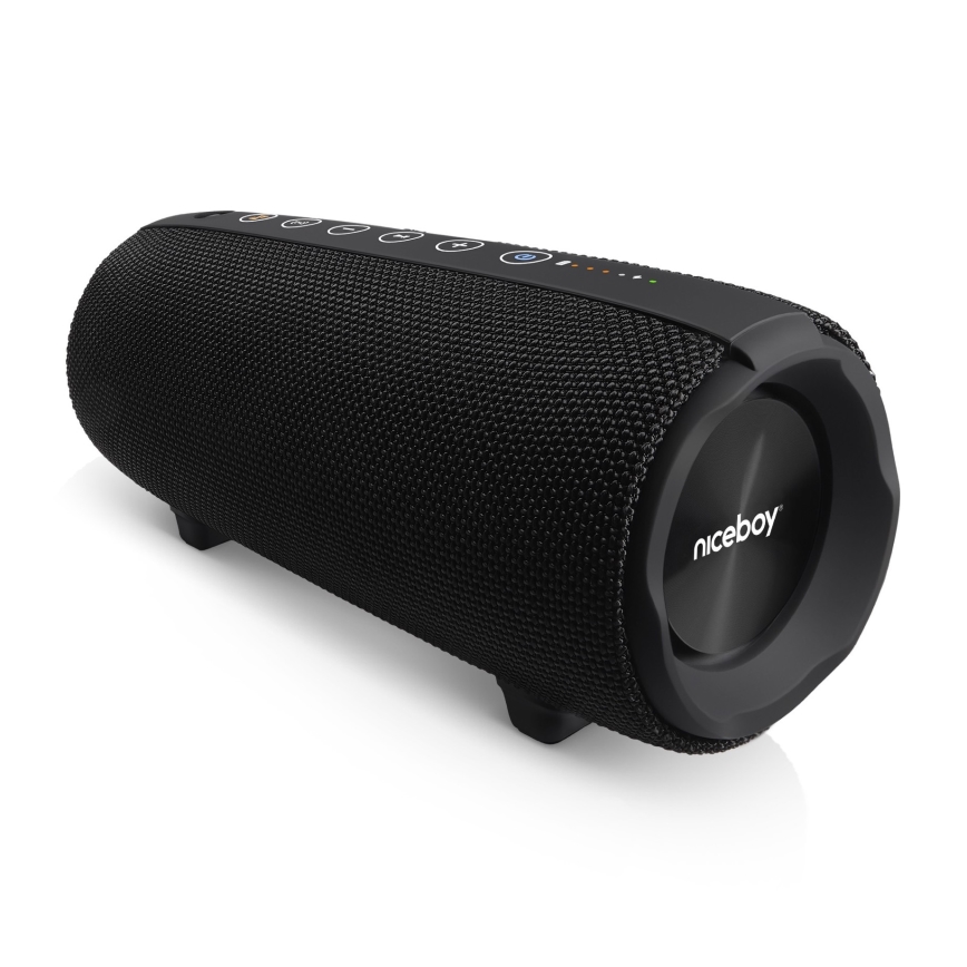 Niceboy Titan 4 - Trådløs LED højtaler med mikrofon og powerbank-funktion 50W/4000 mAh IPX7 sort