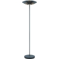 Nordlux - Gulvlampe BRETAGNE 1xG9/25W/230V antracit