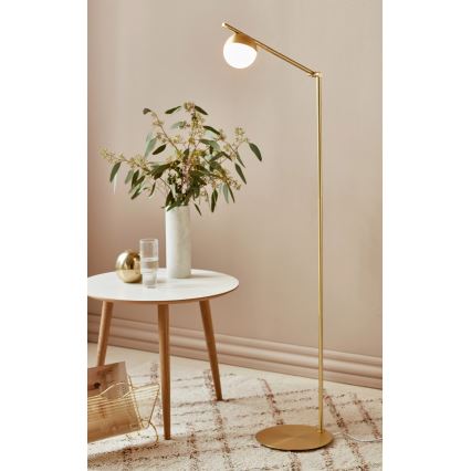 Nordlux - Gulvlampe CONTINA 1xG9/5W/230V messing
