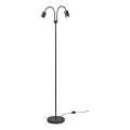 Nordlux - Gulvlampe EXPLORE 2xGU10/7W/230V sort