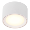 Nordlux - LED Dæmpbar spot FALLON LED/5,5W/230V hvid