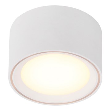 Nordlux - LED Dæmpbar spot FALLON LED/5,5W/230V hvid