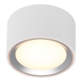 Nordlux - LED loftlampe dæmpbar FALLON LED/5,5W/230V 2700K diameter 10 cm hvid