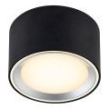 Nordlux - LED spotlampe dæmpbar FALLON LED/5,5W/230V sort