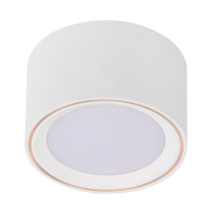 Nordlux - LED spotlampe FALLON LED/5,5W/230V hvid