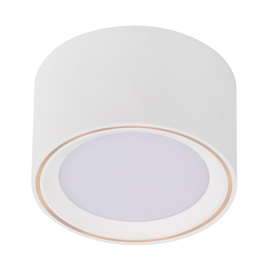 Nordlux - LED spotlampe FALLON LED/5,5W/230V hvid