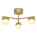 Nordlux - Loftlampe CONTINA 3xG9/5W/230V messing