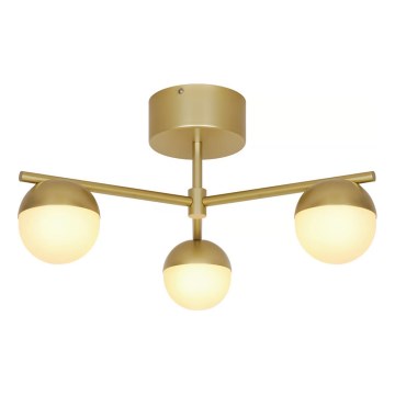Nordlux - Loftlampe CONTINA 3xG9/5W/230V messing