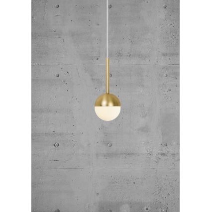 Nordlux - Pendel CONTINA på wire 1xG9/5W/230V messing