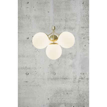 Nordlux - Pendel IVONA 4xE27/28W/230V guldfarvet