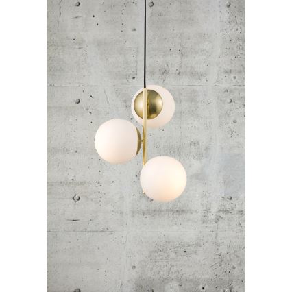 Nordlux - Pendel LILLY 3xE14/40W/230V guldfarvet