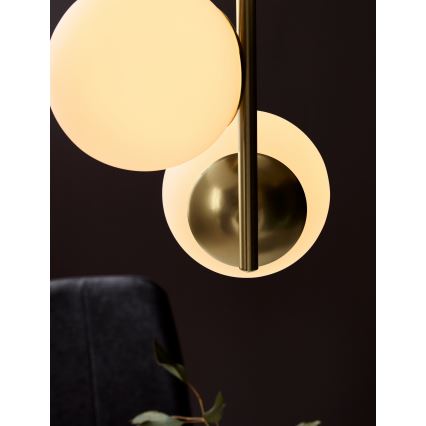 Nordlux - Pendel LILLY 3xE14/40W/230V guldfarvet