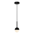 Nordlux - Pendel på ledning CONTINA 1xG9/5W/230V sort