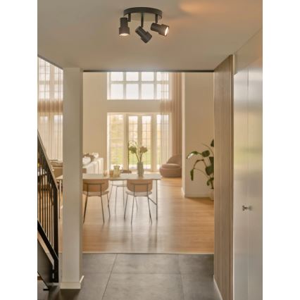 Nordlux - Spotlampe BOSTON 3xGU10/5W/230V