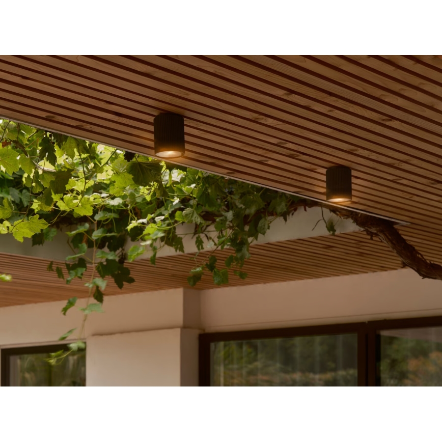 Nordlux - Udendørs loftlampe KYKLOP 1xGU10/15W/230V IP54 sort